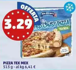 PENNY Pizza tex mex offerta