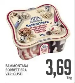 Supermercati Piccolo Sammontana sorbettiera vari gusti offerta
