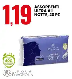 Eurospin Assorbenti ultra ali notte, 20 pz FIOR di MAGNOLIA offerta