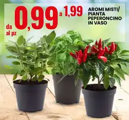 Eurospin Aromi misti/ pianta peperoncino in vaso offerta