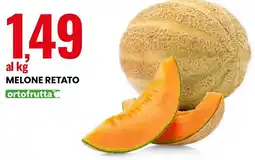 Eurospin Melone retato ortofrutta offerta