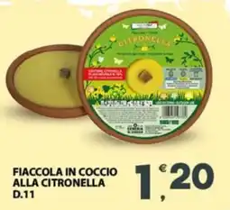 Eurospar Fiaccola in coccio alla citronella D.11 offerta