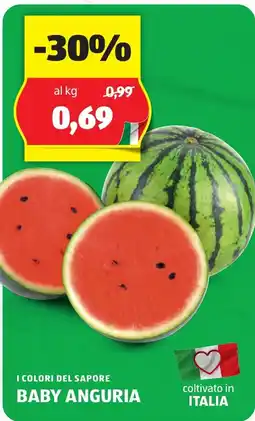 ALDI I colori del sapore BABY ANGURIA offerta