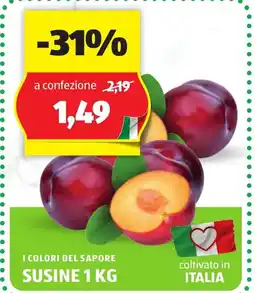 ALDI I colori del sapore SUSINE offerta