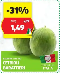 ALDI Regione che vai CETRIOLI BARATTIERI offerta