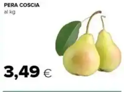 Tigre Pera coscia offerta