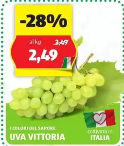 ALDI I colori del sapore UVA VITTORIA offerta