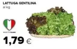 Tigre Lattuga gentilina offerta