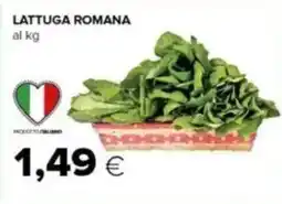 Tigre Lattuga romana offerta