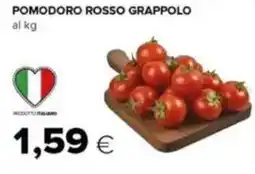 Tigre Pomodoro rosso grappolo offerta