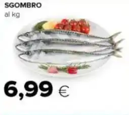 Tigre Sgombro offerta