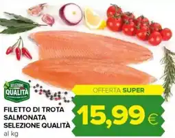 Tigre Filetto di trota salmonata selezione qualità offerta