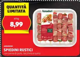 ALDI AMADORI spiedini rustici offerta