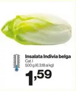 In'S Mercato Insalata indivia belga offerta