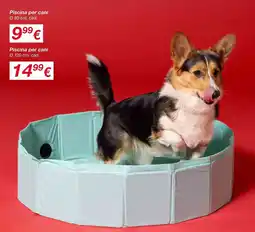 KiK Piscina per cani offerta