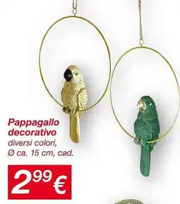 KiK Pappagallo decorativo offerta