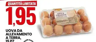 Eurospin Uova da allevamento a terra offerta