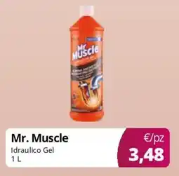 Acqua & Sapone Mr. Muscle Idraulico Gel offerta