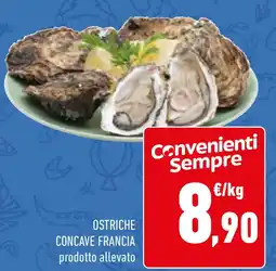 Conad Ostriche concave francia offerta