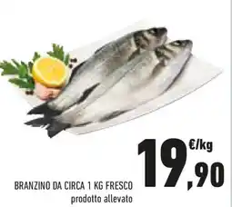Conad Branzino da circa fresco offerta