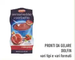 Conad Pronti da gelare DOLFIN offerta