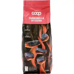 Coop CARBONELLE E BRICCHETTE COOP offerta
