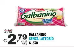 A&O Galbani galbanino senza lattosio offerta