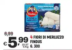 A&O 4 fiori di merluzzo FINDUS offerta