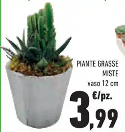 Conad Superstore Piante grasse miste offerta
