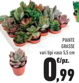 Conad Superstore Piante grasse offerta