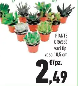 Conad Superstore Piante grasse vari tipi offerta