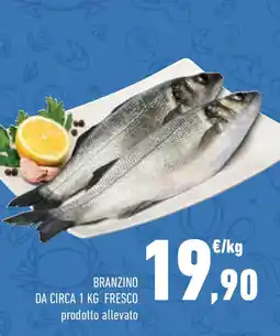 Conad Superstore Branzino offerta