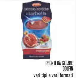 Conad Superstore Pronti da gelare DOLFIN offerta