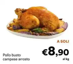 Unes Pollo busto campese arrosto offerta