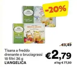 Unes Tisana a freddo drenante o bruciagrassi €2,79 18 filtri L'ANGELICA offerta