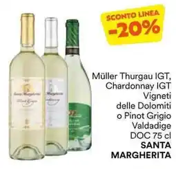 Unes Müller Thurgau IGT, Chardonnay IGT Vigneti delle Dolomiti o Pinot Grigio Valdadige DOC SANTA MARGHERITA offerta