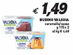 Coal Budino VALSOIA offerta