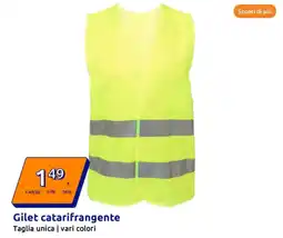 Action Gilet catarifrangente offerta