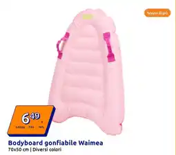 Action Bodyboard gonfiabile Waimea offerta