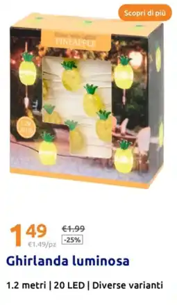 Action Ghirlanda luminosa offerta