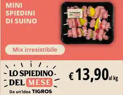Tigros Mini spiedini di suino offerta