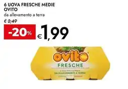 Bennet 6 uova fresche medie OVITO offerta