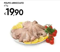 Bennet Polpo arricciato offerta