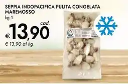 Bennet Seppia indopacifica pulita congelata MAREMOSSO offerta