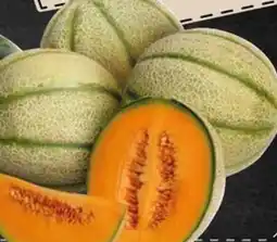 Famila Melone retato offerta