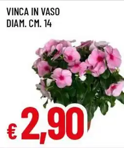 Famila Superstore Vinca in vaso diam. cm. 14 offerta