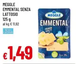 A&O Meggle emmental senza lattosio offerta