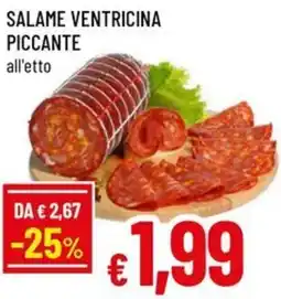 A&O Salame ventricina piccante offerta