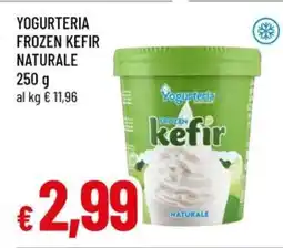 A&O Yogurteria frozen kefir naturale offerta