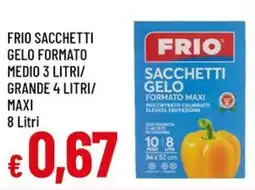 A&O Frio sacchetti gelo formato medio 3 litri/ grande 4 litri/ maxi offerta